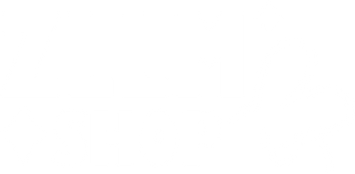 ZLLM